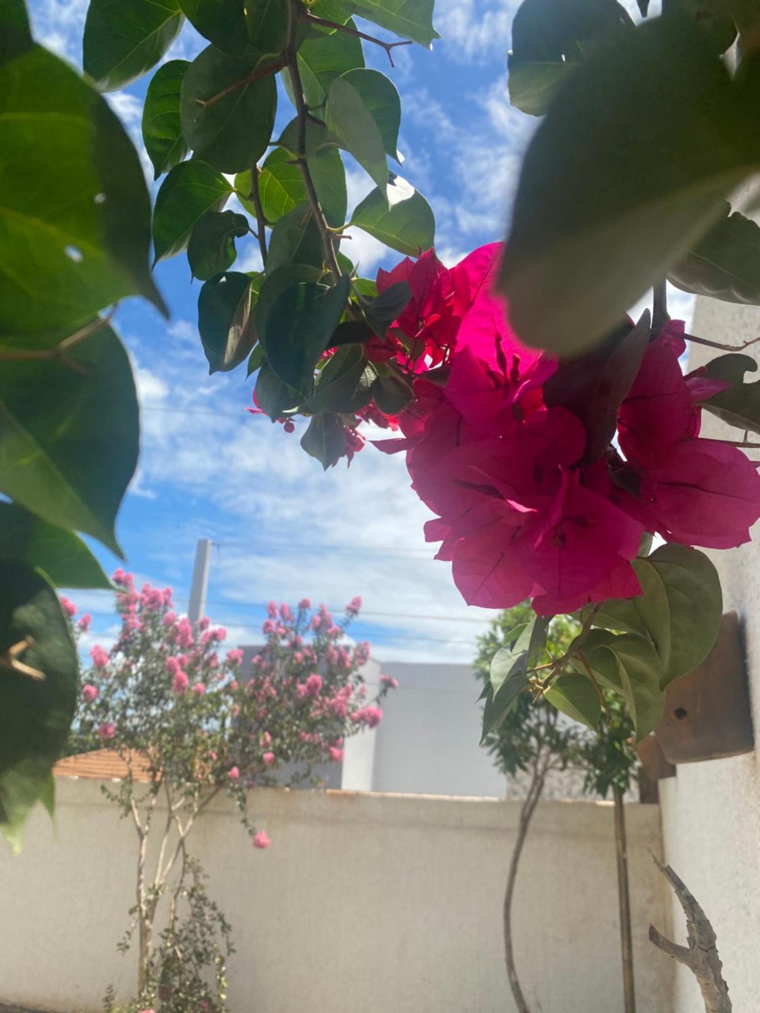 Siqueira Campos Queiroz Palace Hotel מראה חיצוני תמונה