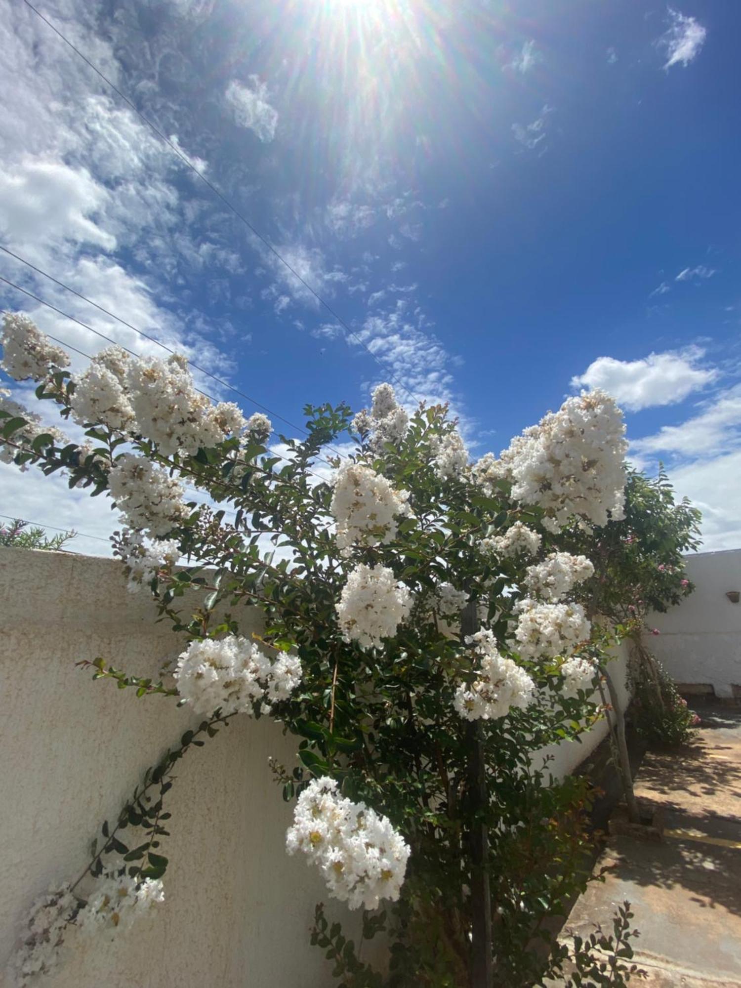Siqueira Campos Queiroz Palace Hotel מראה חיצוני תמונה
